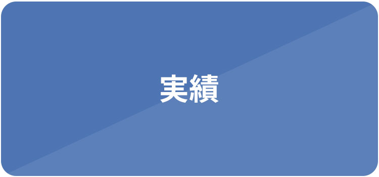 実績